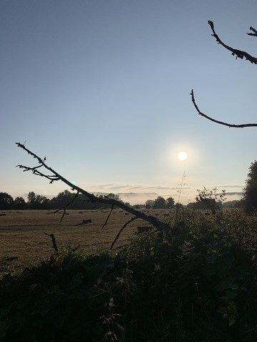 E91771F7-E50F-422B-9C79-D334CAA05259.jpeg