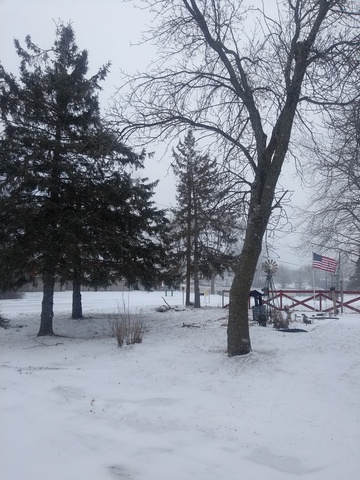 IMG_20190118_123002885.jpg