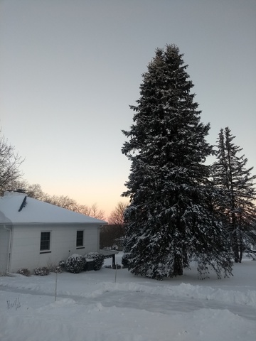 IMG_20190119_075025827.jpg