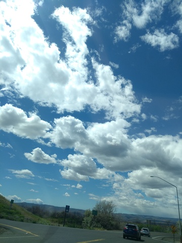 IMG_20190608_141530995.jpg