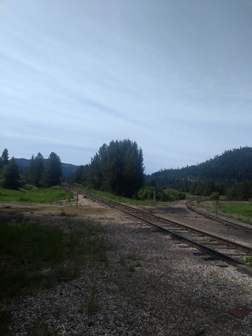 IMG_20190610_103613754.jpg