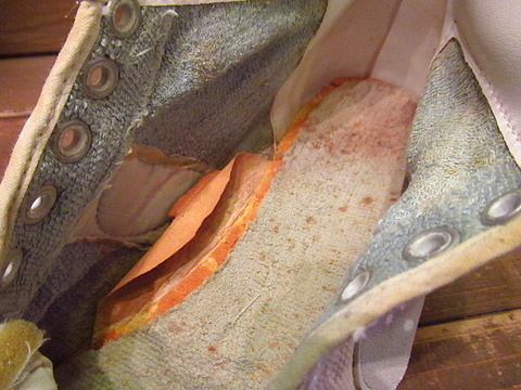 IMG_2397.jpg